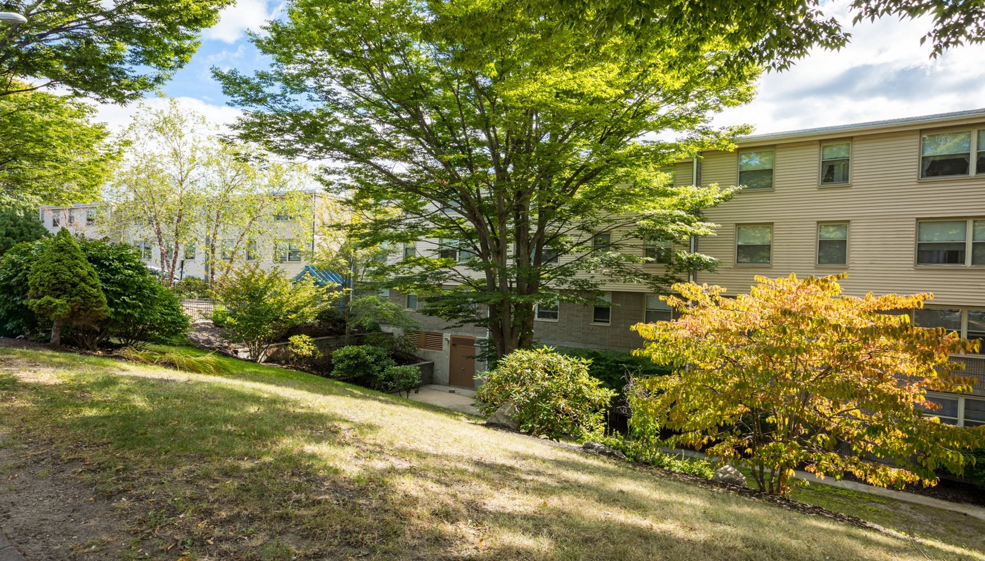 Photos and Video of Danforth Heights in Portland, ME